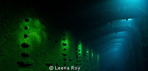 light in the wreck of the Umbria by Leena Roy 